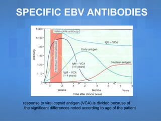response to viral capsid antigen (VCA) is divided because of
the significant differences noted according to age of the patient.
SPECIFIC EBV ANTIBODIES
 
