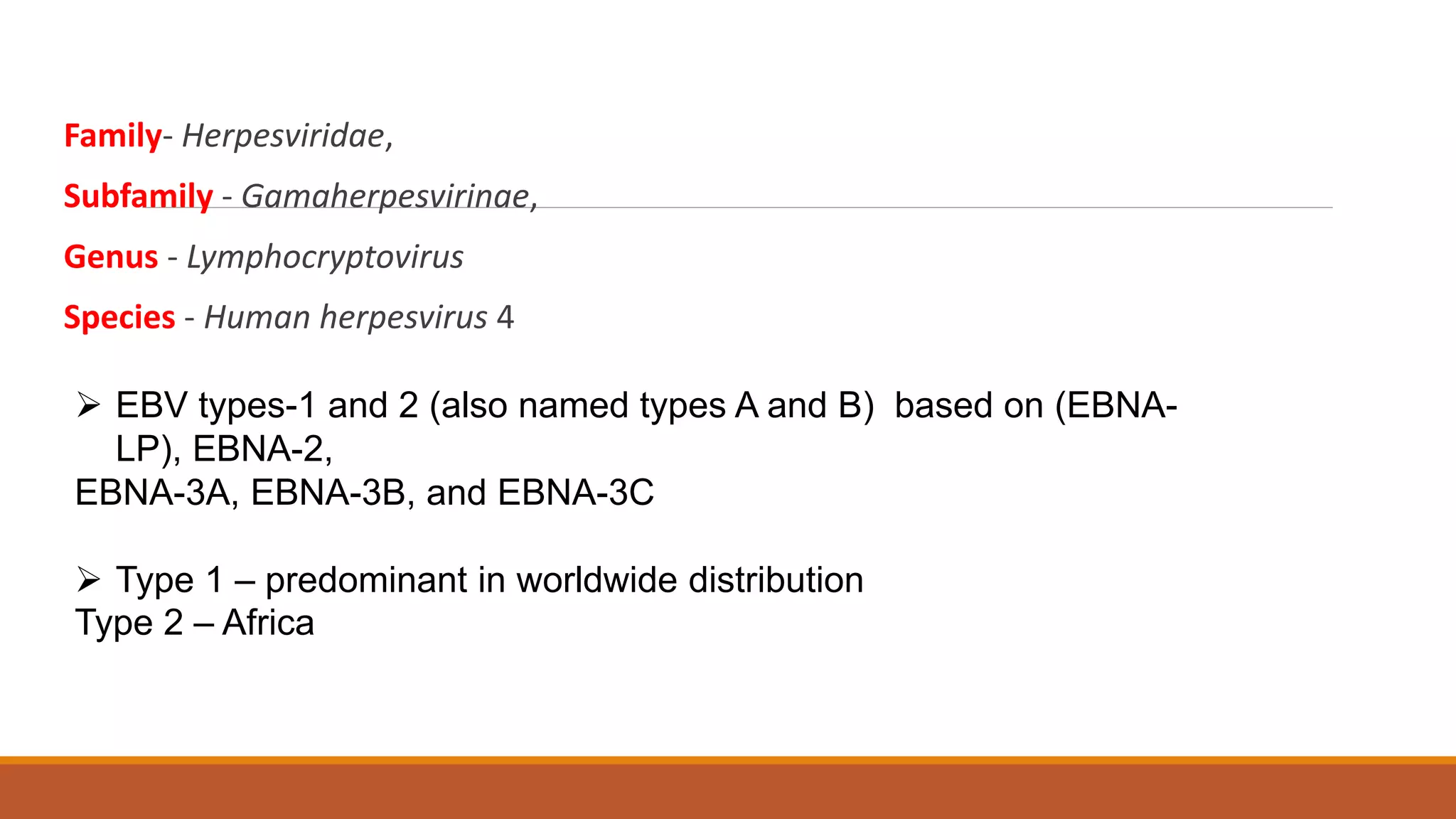 Family- Herpesviridae,
Subfamily - Gamaherpesvirinae,
Genus - Lymphocryptovirus
Species - Human herpesvirus 4
 EBV types-1 and 2 (also named types A and B) based on (EBNA-
LP), EBNA-2,
EBNA-3A, EBNA-3B, and EBNA-3C
 Type 1 – predominant in worldwide distribution
Type 2 – Africa
 