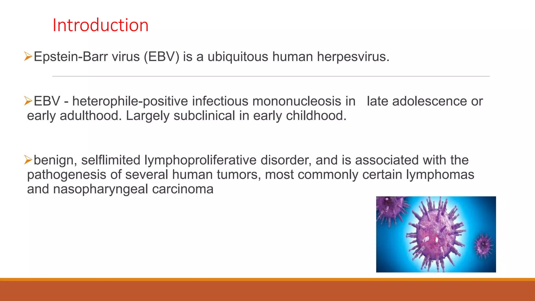 Introduction
Epstein-Barr virus (EBV) is a ubiquitous human herpesvirus.
EBV - heterophile-positive infectious mononucleosis in late adolescence or
early adulthood. Largely subclinical in early childhood.
benign, selflimited lymphoproliferative disorder, and is associated with the
pathogenesis of several human tumors, most commonly certain lymphomas
and nasopharyngeal carcinoma
 