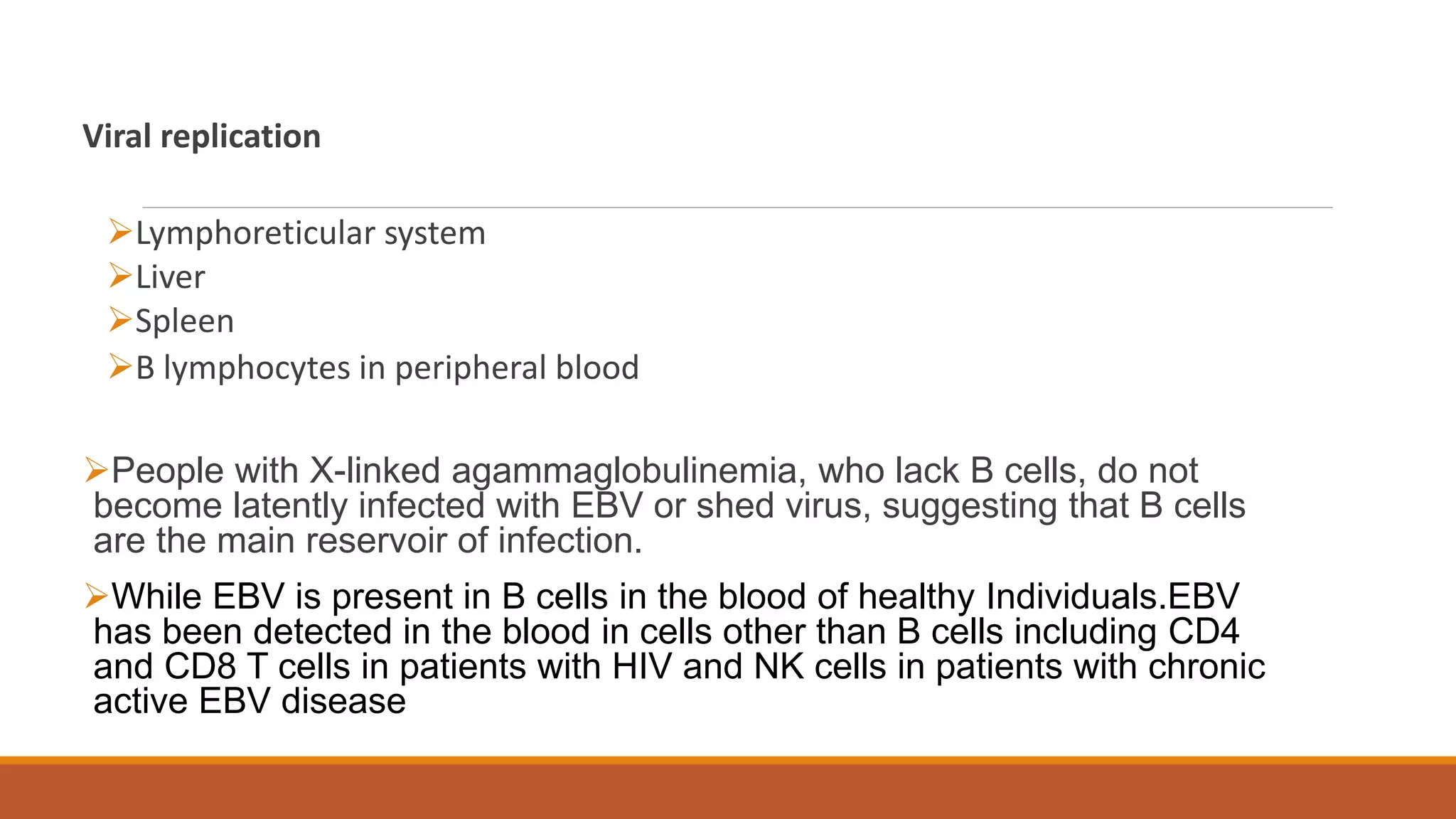 Viral replication
Lymphoreticular system
Liver
Spleen
B lymphocytes in peripheral blood
People with X-linked agammaglobulinemia, who lack B cells, do not
become latently infected with EBV or shed virus, suggesting that B cells
are the main reservoir of infection.
While EBV is present in B cells in the blood of healthy Individuals.EBV
has been detected in the blood in cells other than B cells including CD4
and CD8 T cells in patients with HIV and NK cells in patients with chronic
active EBV disease
 