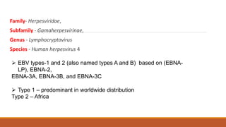 Family- Herpesviridae,
Subfamily - Gamaherpesvirinae,
Genus - Lymphocryptovirus
Species - Human herpesvirus 4
 EBV types-1 and 2 (also named types A and B) based on (EBNA-
LP), EBNA-2,
EBNA-3A, EBNA-3B, and EBNA-3C
 Type 1 – predominant in worldwide distribution
Type 2 – Africa
 