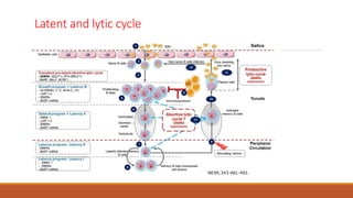 Latent and lytic cycle
NEJM;343:481-492.
 