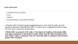 Viral replication
Lymphoreticular system
Liver
Spleen
B lymphocytes in peripheral blood
People with X-linked agammaglobulinemia, who lack B cells, do not
become latently infected with EBV or shed virus, suggesting that B cells
are the main reservoir of infection.
While EBV is present in B cells in the blood of healthy Individuals.EBV
has been detected in the blood in cells other than B cells including CD4
and CD8 T cells in patients with HIV and NK cells in patients with chronic
active EBV disease
 