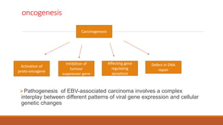 oncogenesis
Pathogenesis of EBV-associated carcinoma involves a complex
interplay between different patterns of viral gene expression and cellular
genetic changes
Activation of
proto-oncogene
Defect in DNA
repair
Carcinogenesis
Inhibition of
tumour
suppressor gene
Affecting gene
regulating
apoptosis
 