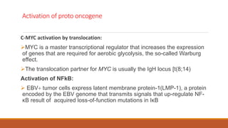 Activation of proto oncogene
C-MYC activation by translocation:
MYC is a master transcriptional regulator that increases the expression
of genes that are required for aerobic glycolysis, the so-called Warburg
effect.
The translocation partner for MYC is usually the IgH locus [t(8;14)
Activation of NFkB:
 EBV+ tumor cells express latent membrane protein-1(LMP-1), a protein
encoded by the EBV genome that transmits signals that up-regulate NF-
κB result of acquired loss-of-function mutations in IκB
 