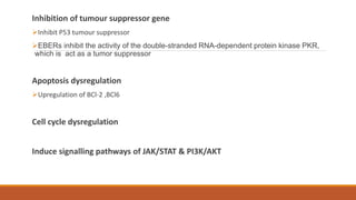 Inhibition of tumour suppressor gene
Inhibit P53 tumour suppressor
EBERs inhibit the activity of the double-stranded RNA-dependent protein kinase PKR,
which is act as a tumor suppressor
Apoptosis dysregulation
Upregulation of BCl-2 ,BCl6
Cell cycle dysregulation
Induce signalling pathways of JAK/STAT & PI3K/AKT
 