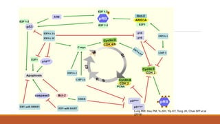 Lung RW, Hau PM, Yu KH, Yip KY, Tong JH, Chak WP et al
(2018)
 