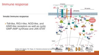 Immune response
Innate immune response
Toll-like, RIG-I-like, NOD-like, and
AIM2-like receptors as well as cyclic
GMP-AMP synthase and JAK-STAT
Pontejo, S.M.; Murphy, P.M.; Pease, J.E. Chemokine subversion by human herpesviruses. J.
Innate Immun.2018
 