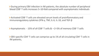 During primary EBV infection in IM patients, the absolute number of peripheral
blood CD8+ T cells increases 5–10-fold compared with asymptomatic individuals
Activated CD8+ T cells are elevated serum levels of proinflammatory and
immunoregulatory cytokines (IFN-γ, TNF, IL-6, IL-10, and TGF-β
Asymptomatic - 15% of all CD8+ T cells & ∼2–5% of memory CD8+ T cells
EBV-specific CD4+ T cells can comprise up to 1% of all circulating CD4+ T cells in
IM patients,
 
