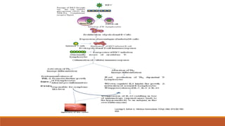 Luzuriaga K, Sullivan JL. Infectious mononucleosis. N Engl J Med. 2010;362:1993-
2000.
 