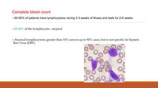 Complete blood count
80-90% of patients have lymphocytosis during 2-3 weeks of illness and lasts for 2-6 weeks
20-40% of the lymphocytes : atypical
Atypical lymphocytosis greater than 10% seen in up to 90% cases, but is not specific for Epstein
Barr virus (EBV).
 