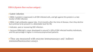 EBNA (Epstein-Barr nuclear antigen) :
Latent infection
EBNA-1 protein is expressed in all EBV infected cells, and IgG against this protein is a late
marker of EBV infection
EBNA-1 IgG antibodies appear late, 3 to 6 months after the time of disease, then they decline
but continue to be present in a detectable level for life
Indicates past or recovering EBV infection .
 because EBNA-IgG is never developed in around 5–10% of EBV infected healthy individuals,
and this percentage is higher in immunocompromised patients
They are measured with enzyme immunoassays and indirect
immunofluorescence assays
 