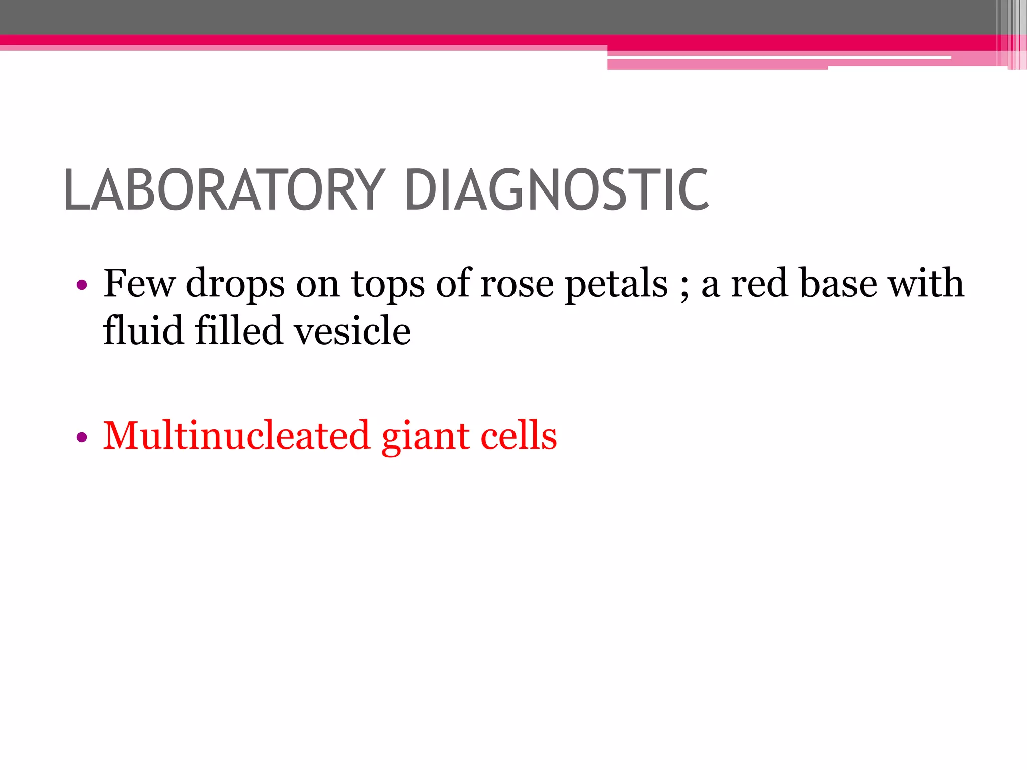 LABORATORY DIAGNOSTIC
• Few drops on tops of rose petals ; a red base with
fluid filled vesicle
• Multinucleated giant cells