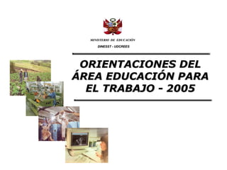 ORIENTACIONES DEL ÁREA EDUCACIÓN PARA EL TRABAJO - 2005 MINISTERIO  DE  EDUCACIÓN DINESST - UDCREES 