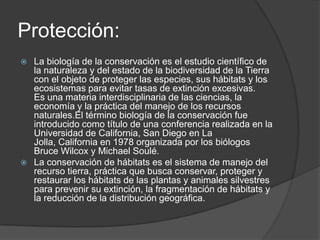 Protección:
 La biología de la conservación es el estudio científico de
  la naturaleza y del estado de la biodiversidad de la Tierra
  con el objeto de proteger las especies, sus hábitats y los
  ecosistemas para evitar tasas de extinción excesivas.
  Es una materia interdisciplinaria de las ciencias, la
  economía y la práctica del manejo de los recursos
  naturales.El término biología de la conservación fue
  introducido como título de una conferencia realizada en la
  Universidad de California, San Diego en La
  Jolla, California en 1978 organizada por los biólogos
  Bruce Wilcox y Michael Soulé.
 La conservación de hábitats es el sistema de manejo del
  recurso tierra, práctica que busca conservar, proteger y
  restaurar los hábitats de las plantas y animales silvestres
  para prevenir su extinción, la fragmentación de hábitats y
  la reducción de la distribución geográfica.
 