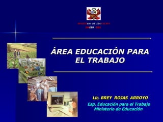 ÁREA EDUCACIÓN PARA EL TRABAJO MINISTE RIO   DE   EDU CACIÓN DIN EBR  - DES Lic. BREY  ROJAS  ARROYO Esp. Educación para el Trabajo Ministerio de Educación  