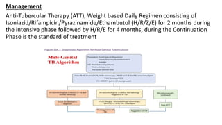 Extra Pulmonary Tuberculosis part 1 genital Tb | PPTX