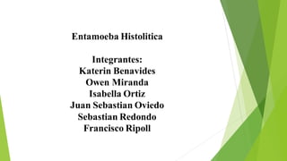Entamoeba Histolitica
Integrantes:
Katerin Benavides
Owen Miranda
Isabella Ortiz
Juan Sebastian Oviedo
Sebastian Redondo
Francisco Ripoll
 