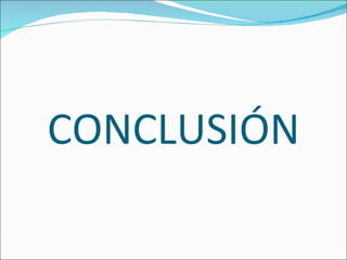 CONCLUSIÓN 