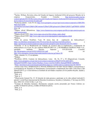 Informe sobre vulneración de derechos humanos de pueblos indígenas en ...