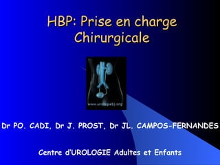 HBP: Prise en charge Chirurgicale Dr PO. CADI, Dr J. PROST, Dr JL. CAMPOS-FERNANDES Centre d’UROLOGIE Adultes et Enfants 