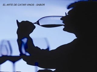 EL ARTE DE CATAR VINOS - SABOR
 