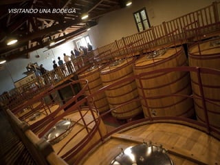 VISITANDO UNA BODEGA
 