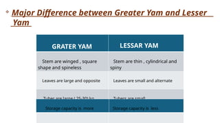 GRATER YAM LESSAR YAM
Stem are winged , square
shape and spineless
Stem are thin , cylindrical and
spiny
Leaves are large and opposite Leaves are small and alternate
Tuber are large ( 25-30) kg Tubers are small
Storage capacity is more Storage capacity is less

Major Difference between Greater Yam and Lesser
Yam
 