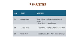 S.N. CROP VARITIES
01 Greater Yam Sree Shilpa ( 1st Intervarietal hybrid
variety ),
Sree Kirthi , Sree Roopa
02 Lesser Yam Sree latha , Sree kala , konkon kanchan
03 White Yam Sree Shubra , Sree Priya , Sree Dhaniya
VARIETIES
 