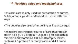  Nutritive value and medicinal uses
• Its corms are mainly used for preparation of curries,
Gulab jamuns, pickles and baked to uses in different
ways
• The petioles also used after boiling as like asparagus
• Its tubers are cheapest source of carbohydrates 24
starch 18 4 g), 1 5 protein( 1 2 g), 0 1 g fat and rich in
minerals and vitamins A 434 IU& Bcomplex leaves
contains 2 3 protein 3 carbohydrates and 4 7 crude
 