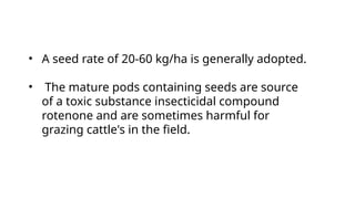 • A seed rate of 20-60 kg/ha is generally adopted.​
• The mature pods containing seeds are source
of a toxic substance insecticidal compound
rotenone and are sometimes harmful for
grazing cattle's in the field.
 