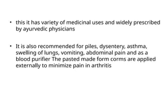 • this it has variety of medicinal uses and widely prescribed
by ayurvedic physicians
• It is also recommended for piles, dysentery, asthma,
swelling of lungs, vomiting, abdominal pain and as a
blood purifier The pasted made form corms are applied
externally to minimize pain in arthritis
 