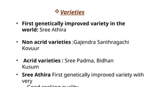 Varieties
• First genetically improved variety in the
world: Sree Athira
• Non acrid varieties :Gajendra Santhragachi
Kovuur
• Acrid varieties : Sree Padma, Bidhan
Kusum
• Sree Athira First genetically improved variety with
very ​
 