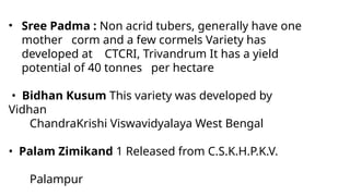 • Sree Padma : Non acrid tubers, generally have one
mother corm and a few cormels Variety has
developed at CTCRI, Trivandrum It has a yield
potential of 40 tonnes per hectare
• Bidhan Kusum This variety was developed by
Vidhan
ChandraKrishi Viswavidyalaya West Bengal
• Palam Zimikand 1 Released from C.S.K.H.P.K.V.
Palampur
 