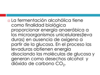

La fermentación alcohólica tiene
como finalidad biológica
proporcionar energía anaeróbica a
los microorganismos unicelulares(leva
duras) en ausencia de oxígeno a
partir de la glucosa. En el proceso las
levaduras obtienen energía
disociando las moléculas de glucosa y
generan como desechos alcohol y
dióxido de carbono CO2.

 