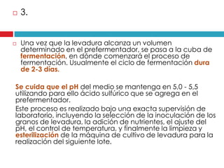 



3.
Una vez que la levadura alcanza un volumen
determinado en el prefermentador, se pasa a la cuba de
fermentación, en dónde comenzará el proceso de
fermentación. Usualmente el ciclo de fermentación dura
de 2-3 días.

Se cuida que el pH del medio se mantenga en 5,0 - 5,5
utilizando para ello ácido sulfúrico que se agrega en el
prefermentador.
Este proceso es realizado bajo una exacta supervisión de
laboratorio, incluyendo la selección de la inoculación de los
granos de levadura, la adición de nutrientes, el ajuste del
pH, el control de temperatura, y finalmente la limpieza y
esterilización de la máquina de cultivo de levadura para la
realización del siguiente lote.

 