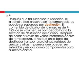 

4.
Después que ha sucedido la reacción, el
alcohol etílico presente en los fermentadores
puede ser separado por destilación. El
contenido de alcohol de la masa es de 712% de su volumen, es bombeada hasta la
sección de destilación del alcohol. Después
de pasar a través de varios intercambiadores
de temperatura, el residuo en la base del
destilador transporta proteínas, residuos de
azúcar y otras impurezas que pueden ser
extraídas y usadas como componentes para
alimento animal.

 
