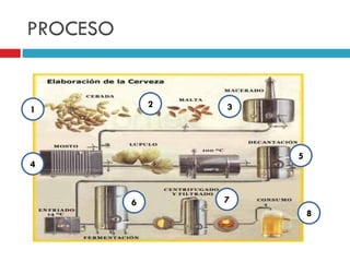 PROCESO

2

1

3

5

4

6

7

8

 