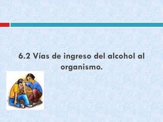 6.2 Vías de ingreso del alcohol al
organismo.

 