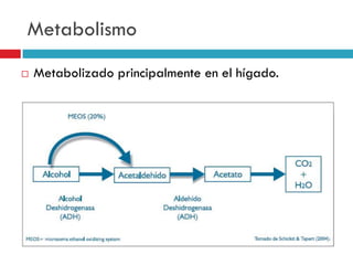 Metabolismo


Metabolizado principalmente en el hígado.

 