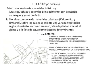 • 3.1.3.8 Tipo de Suelo 
Están compuestas de materiales triásicos y 
jurásicos, calizas y dolomías principalmente, con presencia 
de margas y yesos también. 
Su litoral se compone de materiales calcáreos (Calcarenito y 
similares), sobre los cuales se asienta una variada vegetación 
según el sustrato, rocoso o arenoso, y la adaptación a la sal, al 
viento y a la falta de agua como factores determinantes 
• 3.2 Entorno 
SE ENCUENTRA RODEADA DE CARRETERAS 
IMPORTANTES LO QUE PERMITE UNA 
COMUNICACIÓN RÁPIDA CON OTRAS PARTES DE 
LA CIUDAD 
SE ENCUENTRA DENTRO DE UNA PARCELA LO QUE 
PROPICIA TRANQUILIDAD Y UN AMBIENTE NATURAL. 
LA UBICACIÓN DEL TERRENO ES FAVORABLE 
YA QUE LA CALLE TIENE POCO TRANSITO, 
AUNQUE POR SER UNA CARRETERA MUY 
LARGA PUEDE PROPICIAR LA ALTA 
VELOCIDAD DE LOS VEHÍCULOS. 
 
