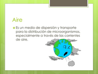 Aire
 Es un medio de dispersión y transporte
para la distribución de microorganismos,
especialmente a través de las corrientes
de aire.
 