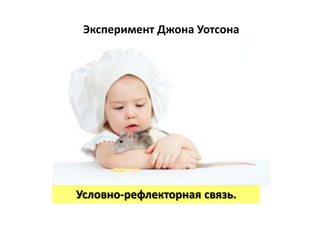 Эксперимент Джона Уотсона
Условно-рефлекторная связь.
 