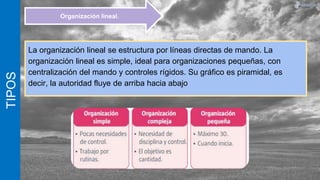 TIPOS
La organización lineal se estructura por líneas directas de mando. La
organización lineal es simple, ideal para organizaciones pequeñas, con
centralización del mando y controles rígidos. Su gráfico es piramidal, es
decir, la autoridad fluye de arriba hacia abajo
Organización lineal.
 