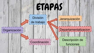 ETAPAS
Organización
División
de trabajo
Coordinación
Jerarquización
Departamentalizacion
Descripción de
funciones
 