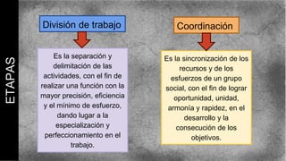 Es la separación y
delimitación de las
actividades, con el fin de
realizar una función con la
mayor precisión, eficiencia
y el mínimo de esfuerzo,
dando lugar a la
especialización y
perfeccionamiento en el
trabajo.
División de trabajo Coordinación
Es la sincronización de los
recursos y de los
esfuerzos de un grupo
social, con el fin de lograr
oportunidad, unidad,
armonía y rapidez, en el
desarrollo y la
consecución de los
objetivos.
ETAPAS
 