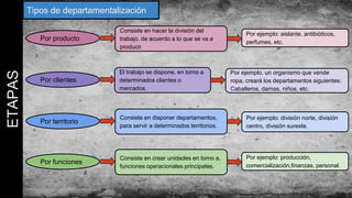 ETAPAS Tipos de departamentalización
Por producto
Consiste en hacer la división del
trabajo, de acuerdo a lo que se va a
producir.
Por ejemplo: aislante, antibióticos,
perfumes, etc.
Por clientes
El trabajo se dispone, en torno a
determinados clientes o
mercados.
Por ejemplo, un organismo que vende
ropa, creará los departamentos siguientes:
Caballeros, damas, niños, etc.
Por territorio
Consiste en disponer departamentos,
para servir a determinados territorios.
Por ejemplo: división norte, división
centro, división sureste.
Por funciones
Consiste en crear unidades en torno a,
funciones operacionales principales.
Por ejemplo: producción,
comercialización,finanzas, personal.
 