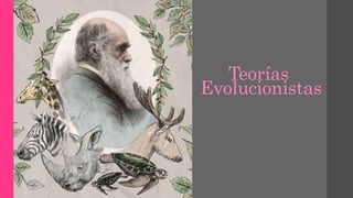 Teorías
Evolucionistas
 