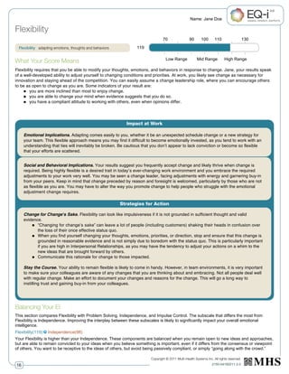EQ-i 2.0 Workplace Report Slide 17
