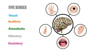 Visual
Auditory
Kinesthetic
Olfactory
Gustatory
FIVESENSES
 